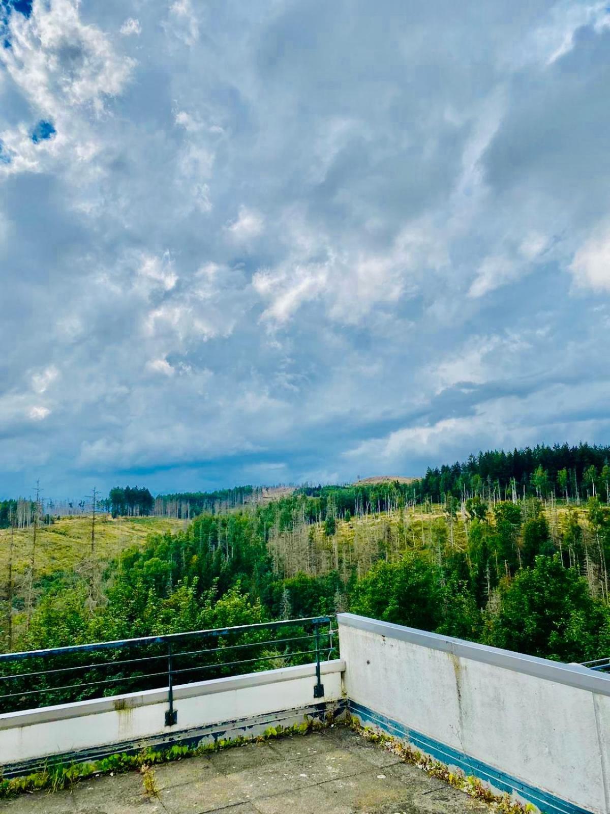 Terrassenhaus Im Harz, Pool, Sauna, Wlan Braunlage Dış mekan fotoğraf
