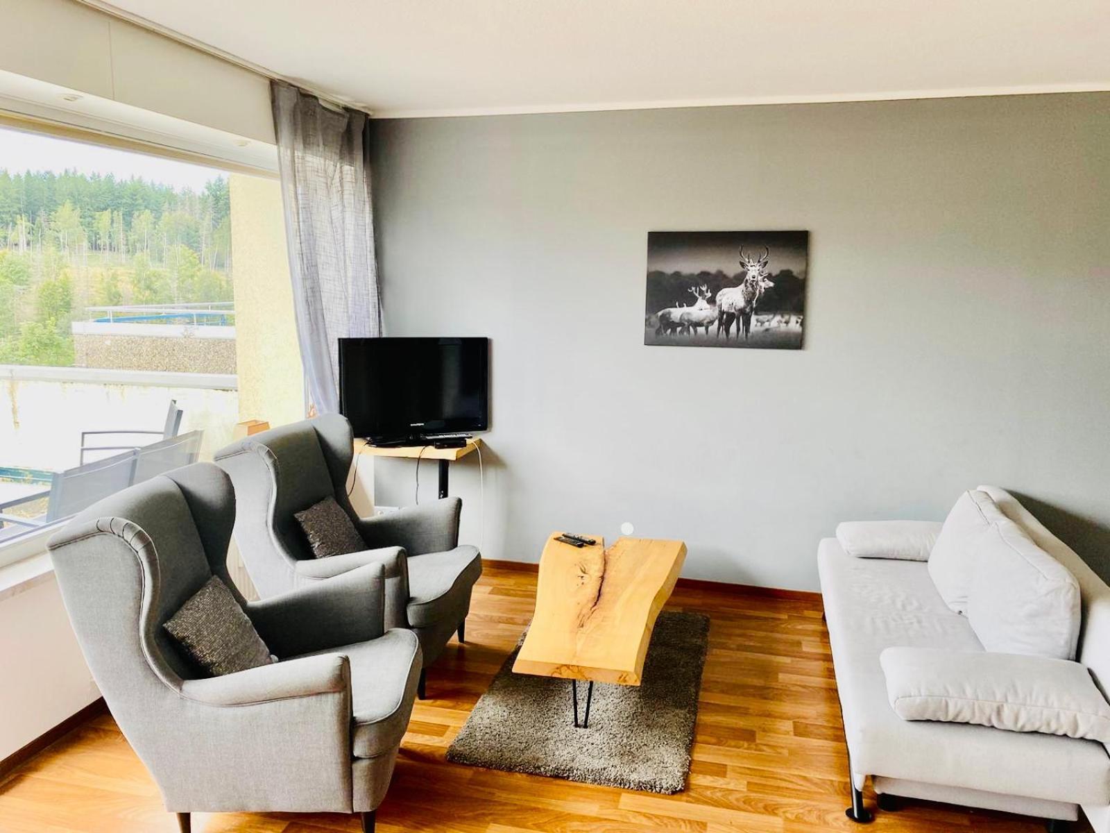 Terrassenhaus Im Harz, Pool, Sauna, Wlan Braunlage Dış mekan fotoğraf